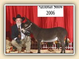 2006 ADMS Nationals Reserve National Champion