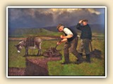 Tim, Tom, Turf & Donkey by Martin Driscoll