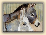   Jan Cawthon Miniature Donkey Artist