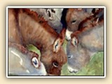   Jan Cawthon Miniature Donkey Artist