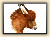 Cary Constantine Miniature Donkey Artist