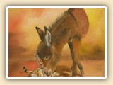  Cary Constantine Miniature Donkey Artist