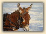   Laura Butler Miniature Donkey Artist
