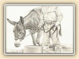   Laura Butler Miniature Donkey Artist