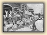 Fred Huenergarth with donkey mascot for the Budweiser Clydesdales (1952)