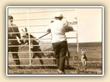 26 hour old Rosalia at Danby Farm