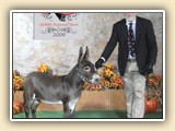 2009 ADMS Nationals RESERVE NATIONAL CHAMPION JACK