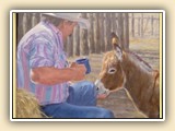 UNTIL WE'RE OLD AND GRAY by Laura Butler; No reproduction without permission